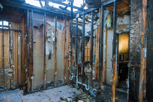 Professional Smoke Damage Removal technician working in Tickfaw, LA